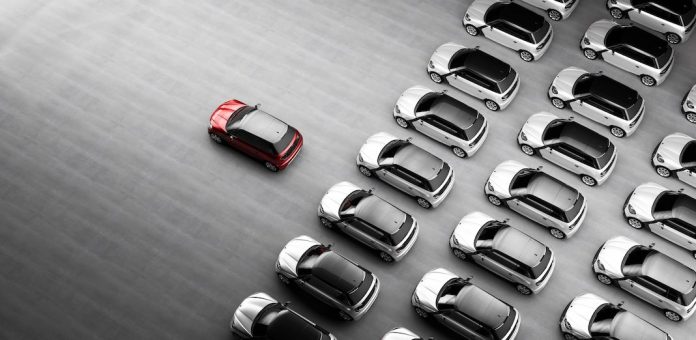 Amerigo Group entre dans un nouveau cycle de croissance et réorganise son capital