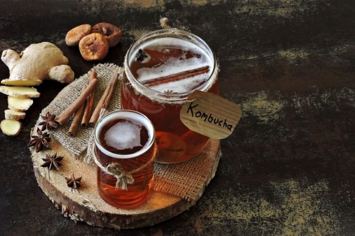 Datxa, le nouveau kombucha artisanal du pays-basque